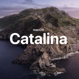 Catalina